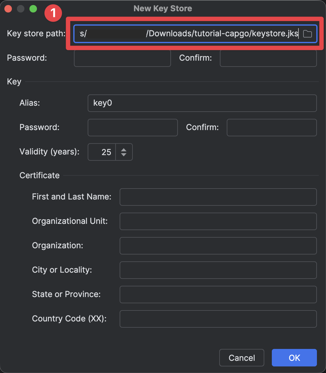 Android Studio fill in key store path