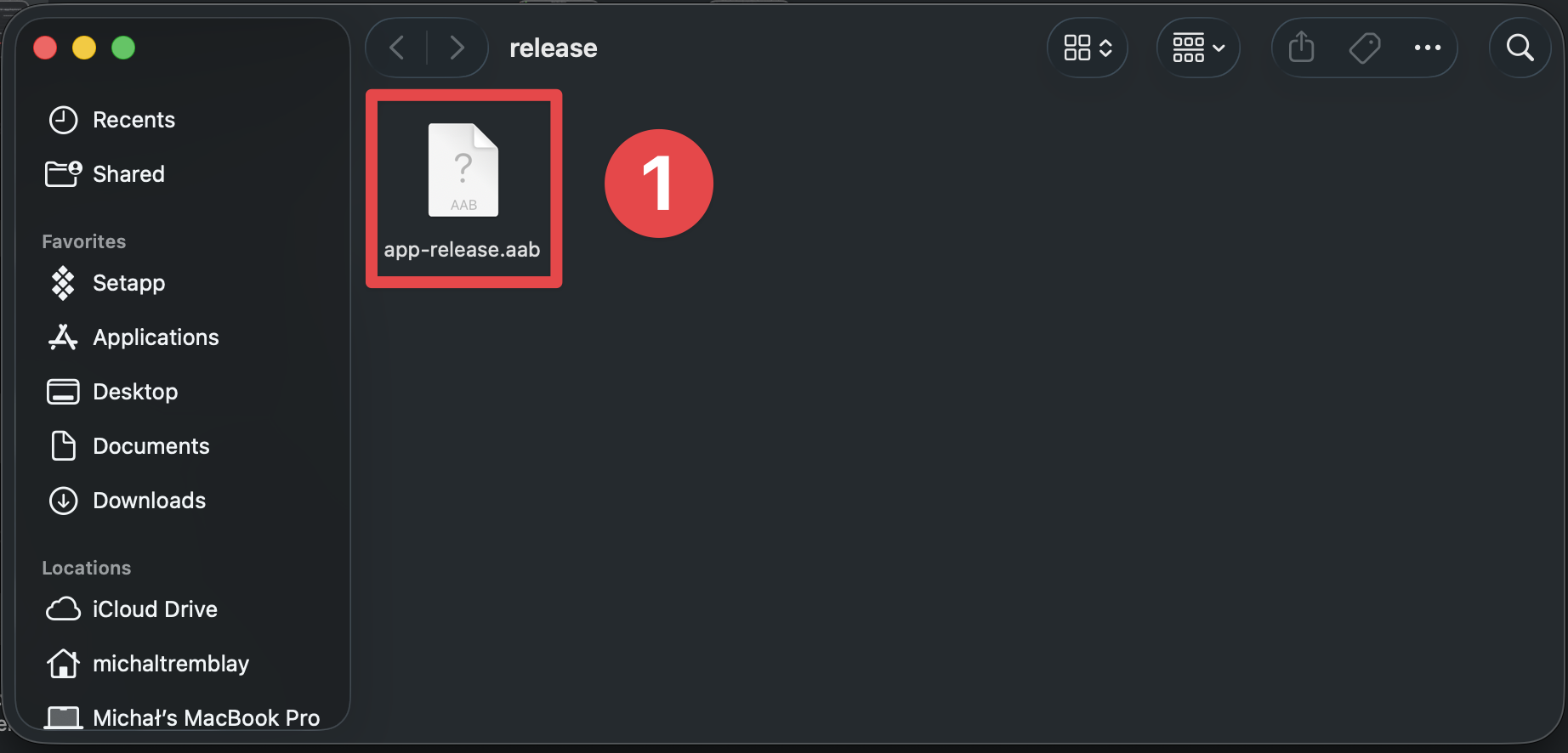 Android Studio make sure you can see the build in the file explorer