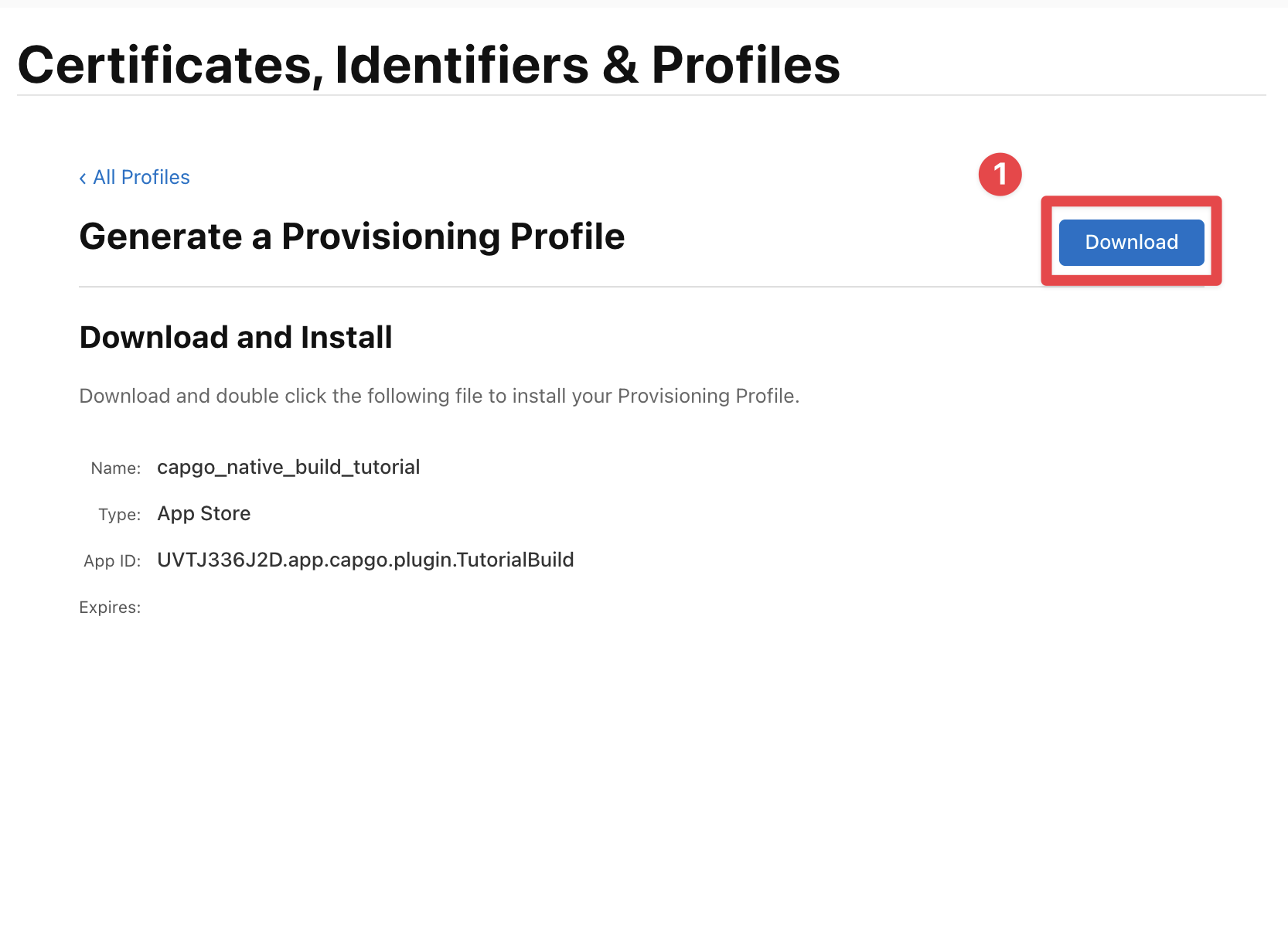 Apple Developer download profile