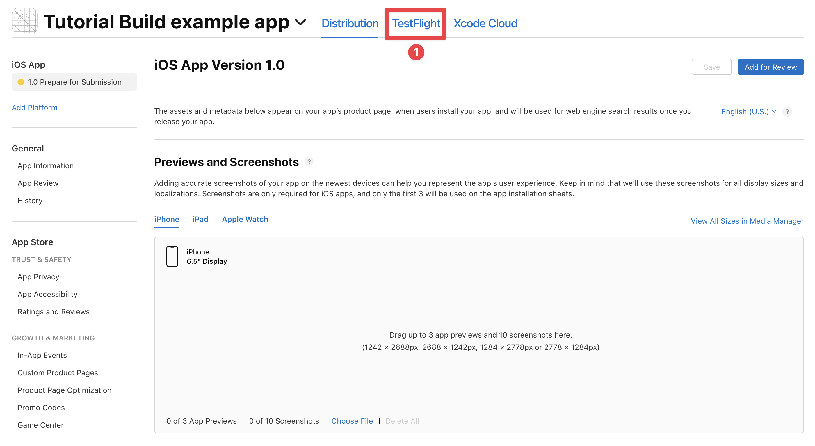 App Store Connect testflight button
