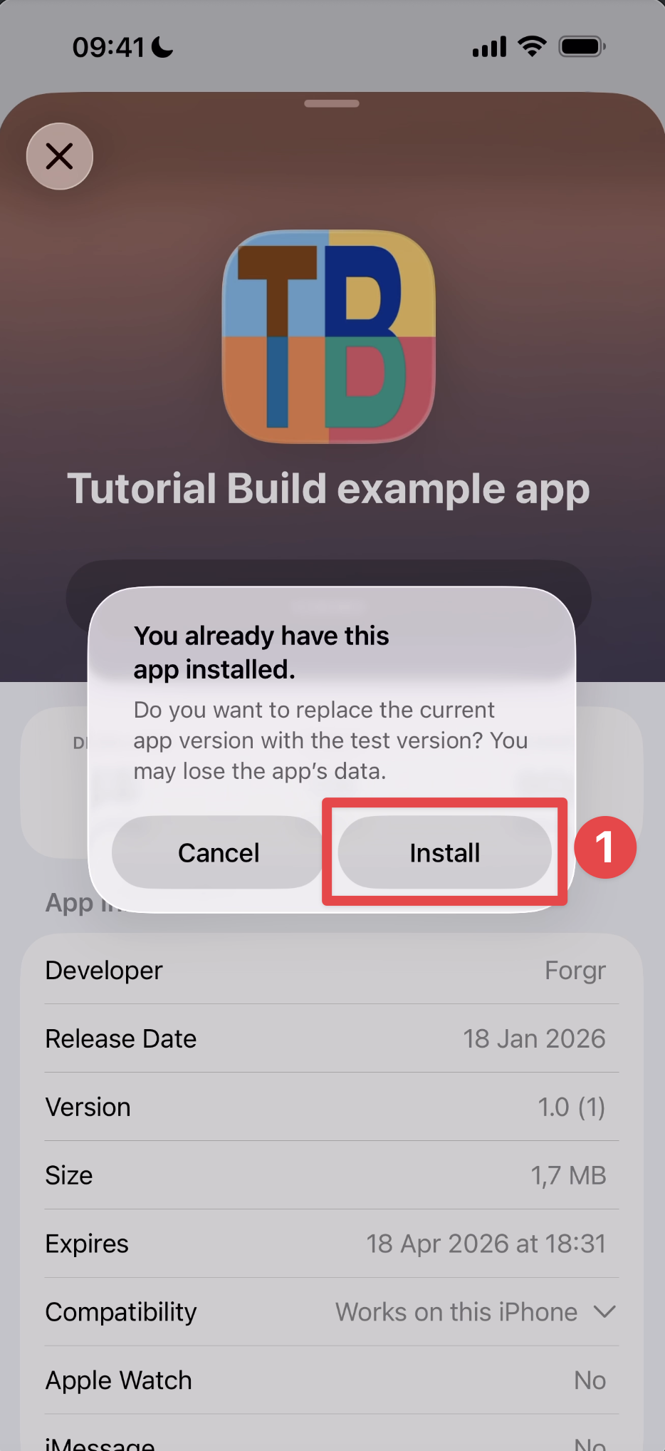 TestFlight install app