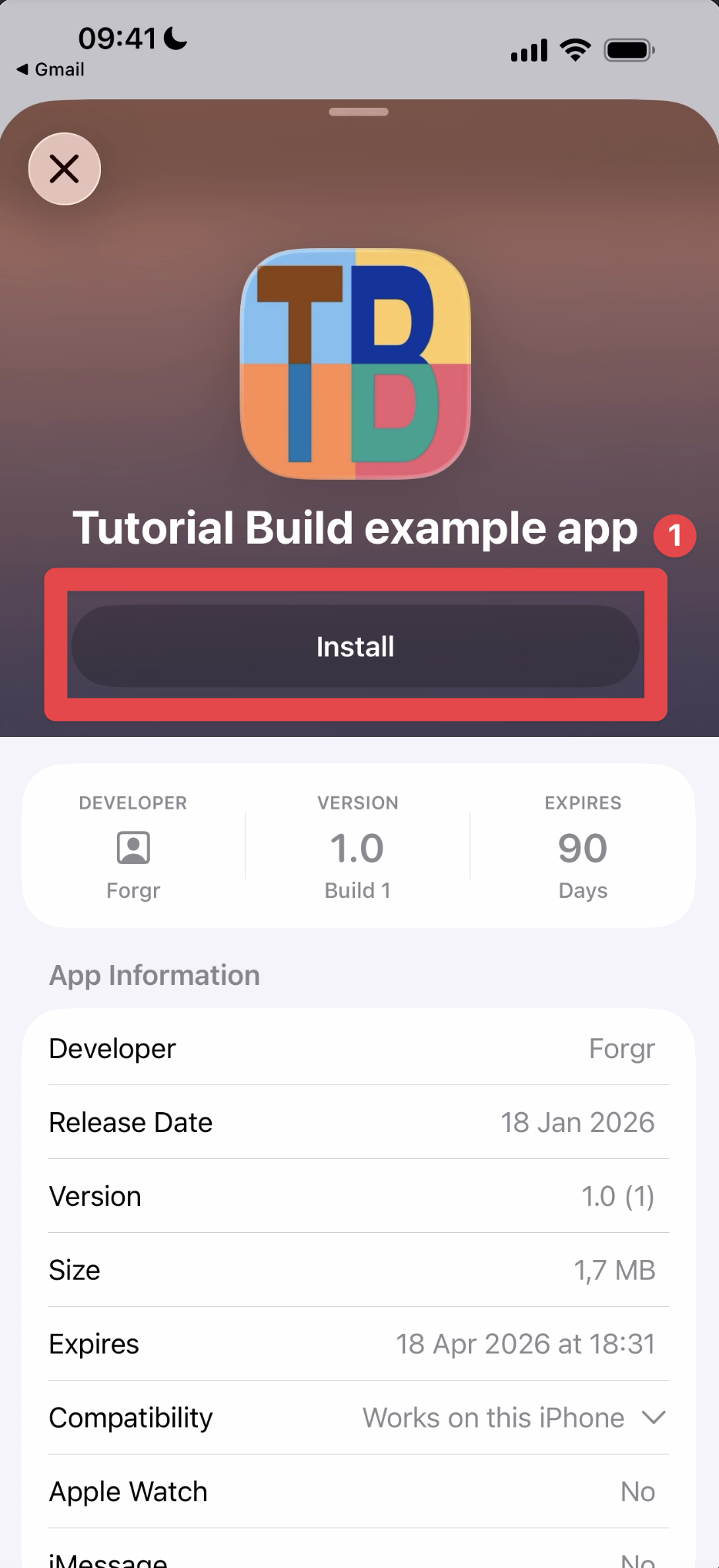 TestFlight install button