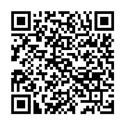 Auto plugin preview QR code