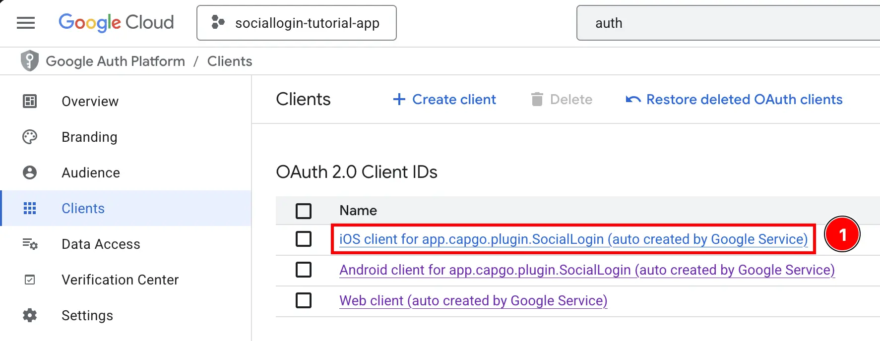 Google Cloud Console Credentials iOS Client ID